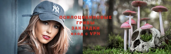 apvp Абинск