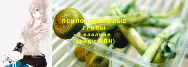 apvp Абинск